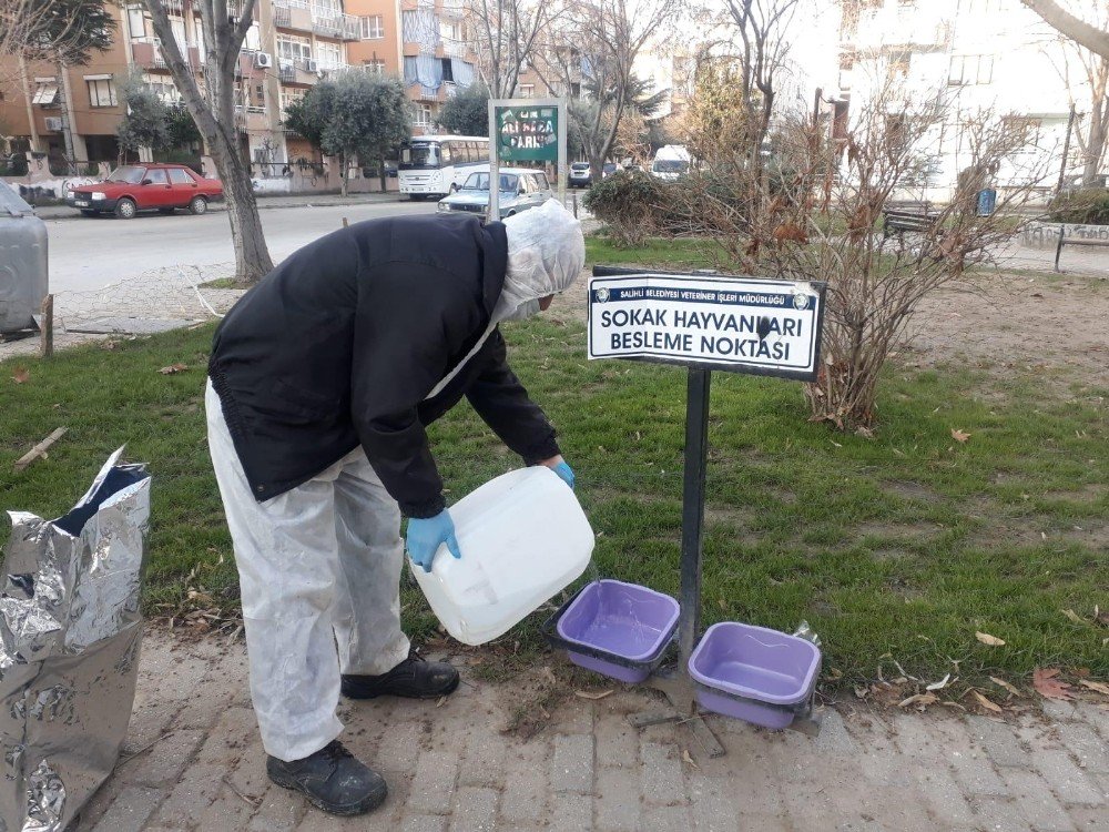 Salihli’de Sokak Hayvanlarına Mama Desteği