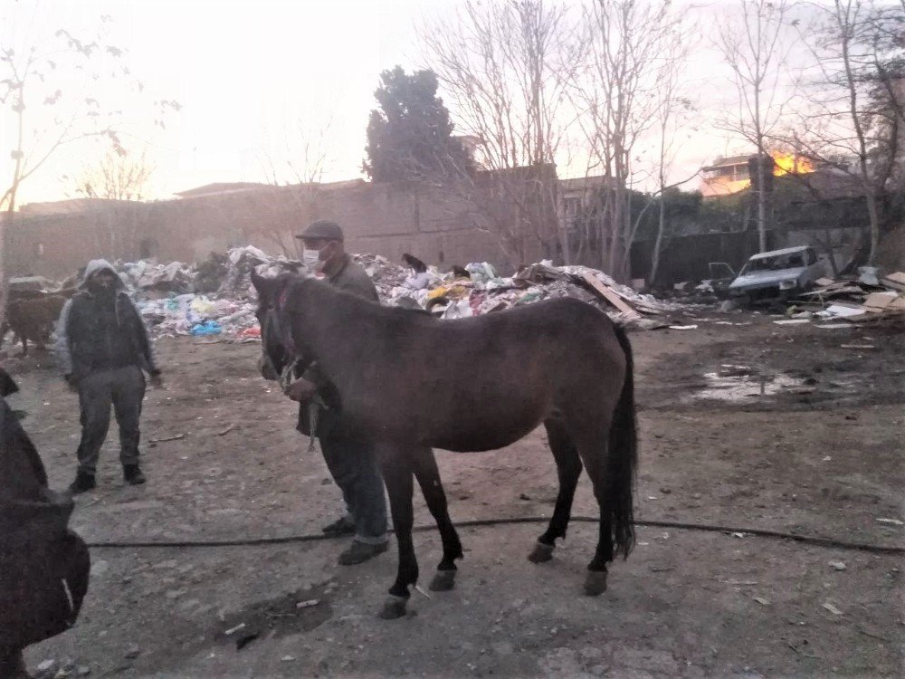 Atları Kesenlere Operasyon