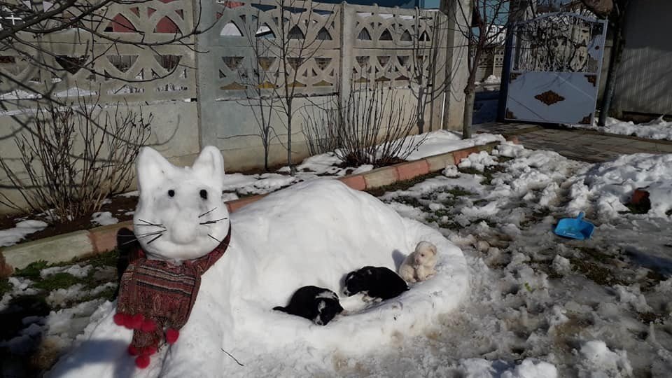 Kar Birikintileri İle ’kardan Kedi’ Yaptılar