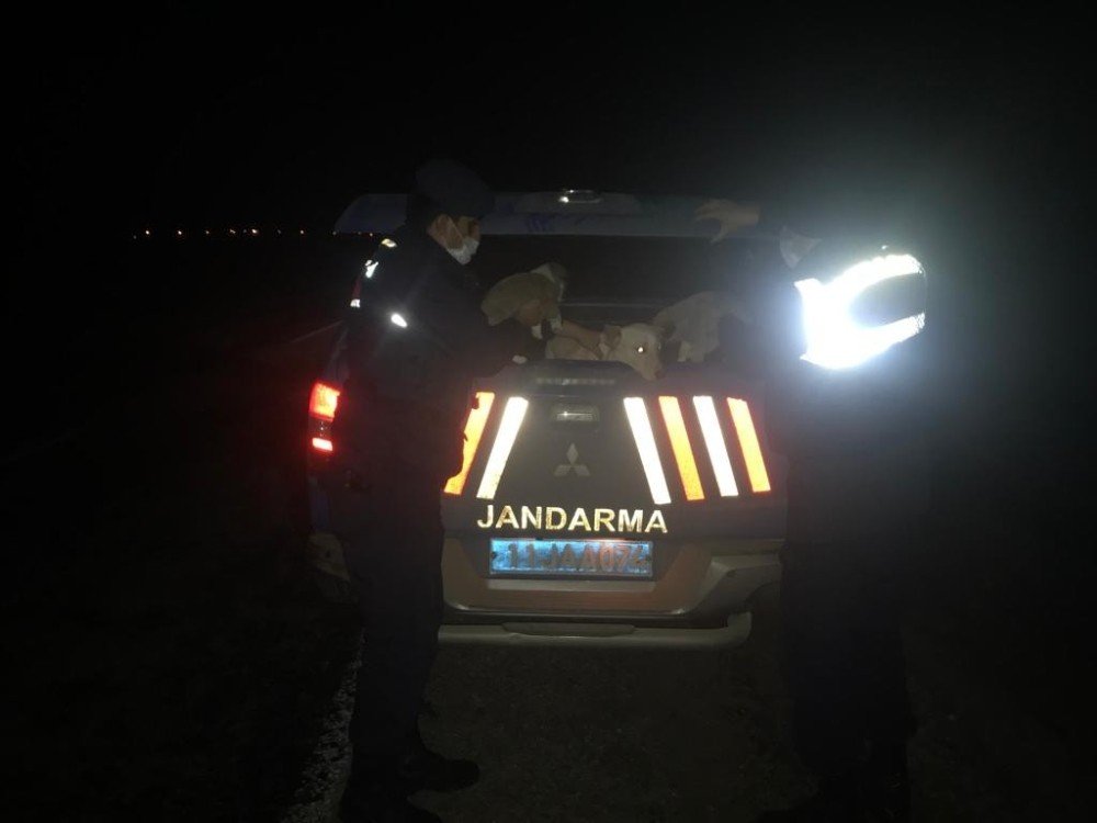 Jandarma Ekipleri Yol Kenarında Buldukları Ağzı Kapalı Çuvalın İçini Açınca Şok Oldular