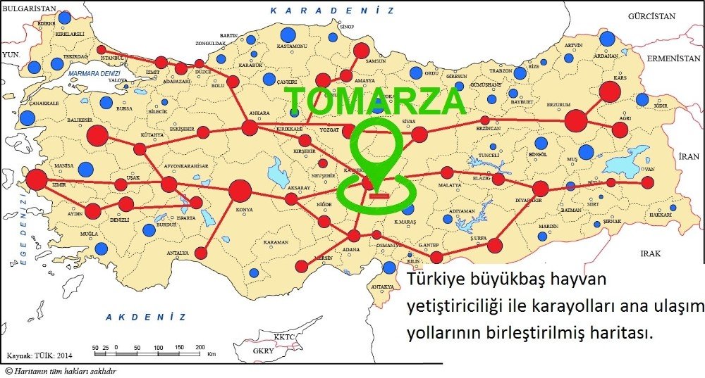 Tomarza İçin Canlı Hayvan Pazarı Projesi