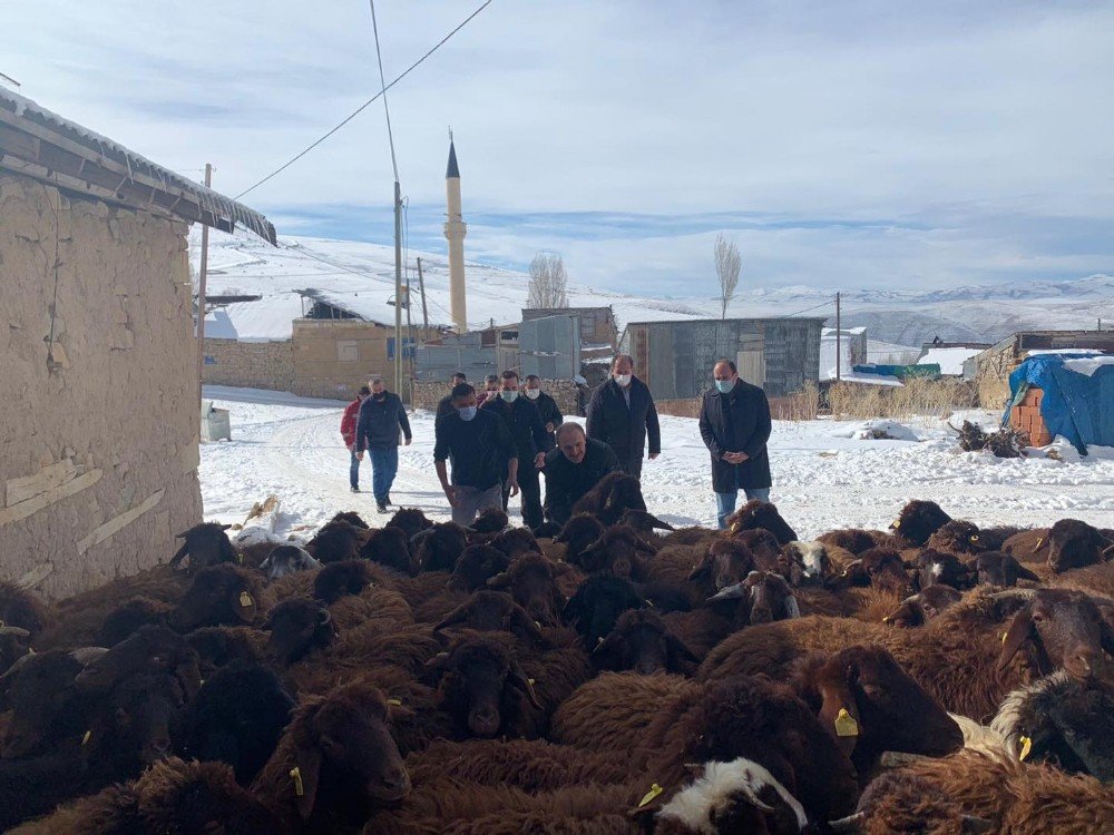 Bayburt’ta "köyümde Yaşamak İ̇çin Bir Sürü Nedenim Var Projesi" Kapsamında Çiftçilere Koyunları Teslim Edildi