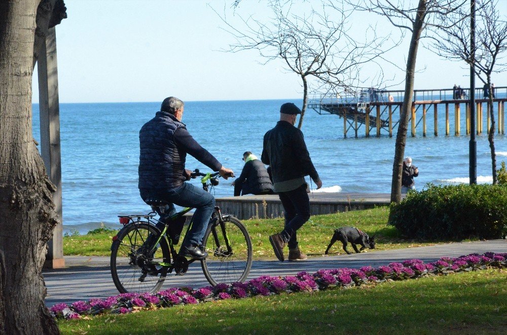 Ordu’da Kış Mevsiminde Yalancı Bahar