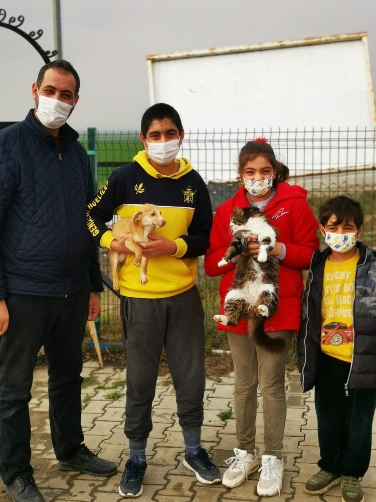 Ergene’deki Sevimli Dostları Belediye Sahiplendirmeye Devam Ediyor