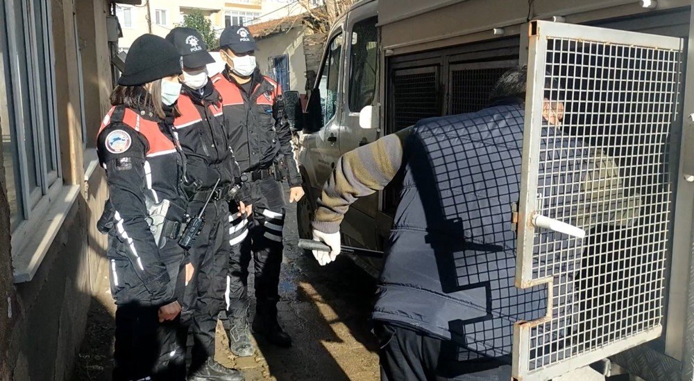 İ̇nsanlık Dışı Olayın Şüphelisine Gözaltı