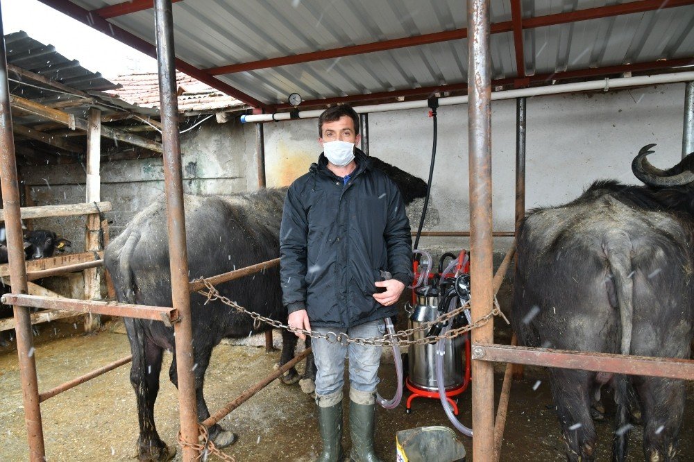 Süt Üreticilerin Yüzü Güldü