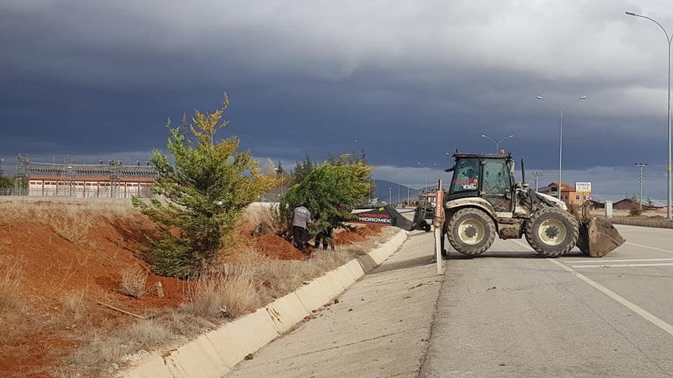 Çevre Yolunda Ağaçlandırma Çalışması