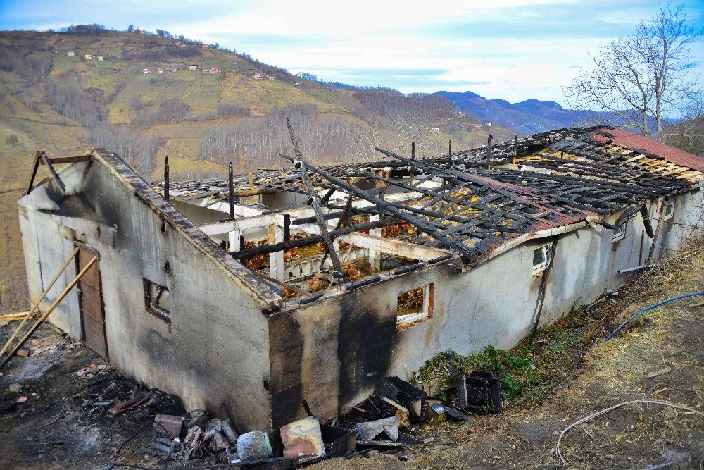 Ordu’da Yangın: 400 Tavuk Telef Oldu