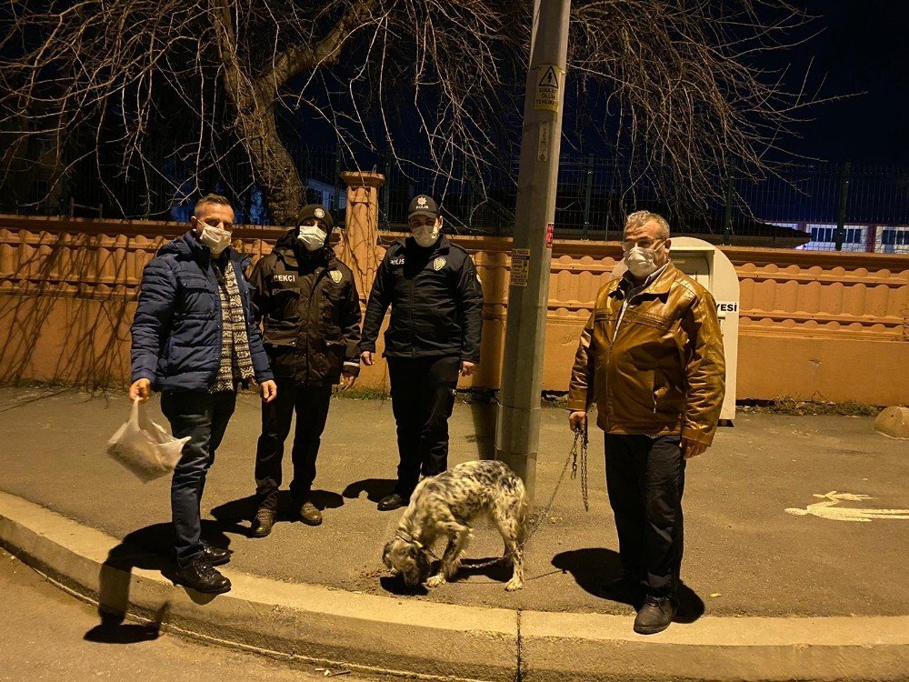 Bu Sefer Suçlu Değil, Firari Köpeğin Sahibini Araştırdılar