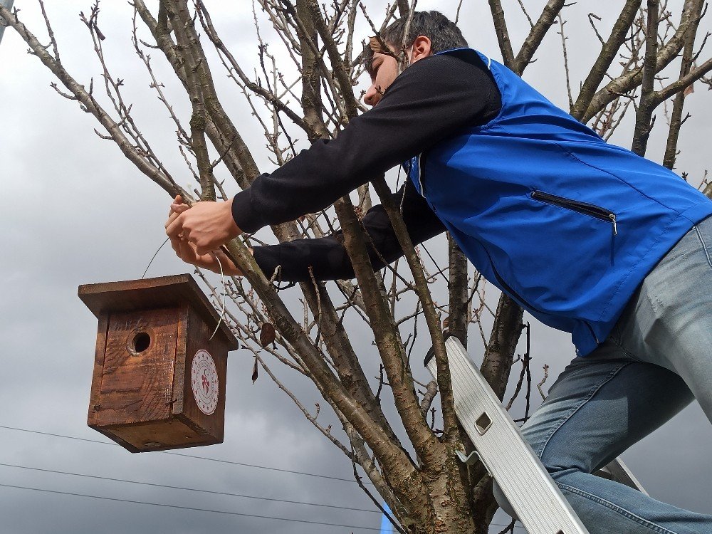Meteorolojinin Tahmini Gençleri Harekete Geçirdi