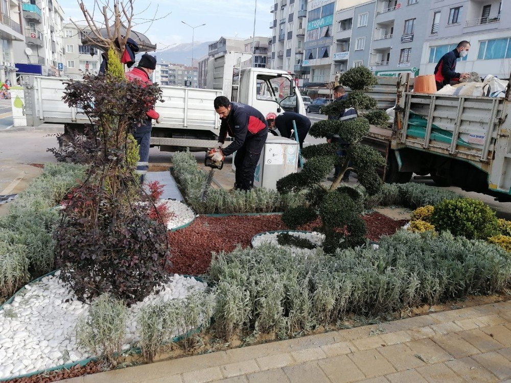 Gürsu Caddelerinde Yeşilin Huzuru