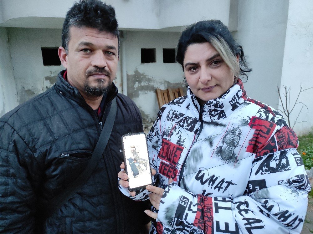 Köpeklerinin Bulunmasını İsteyen Çift, Vatandaşlardan Yardım İstedi