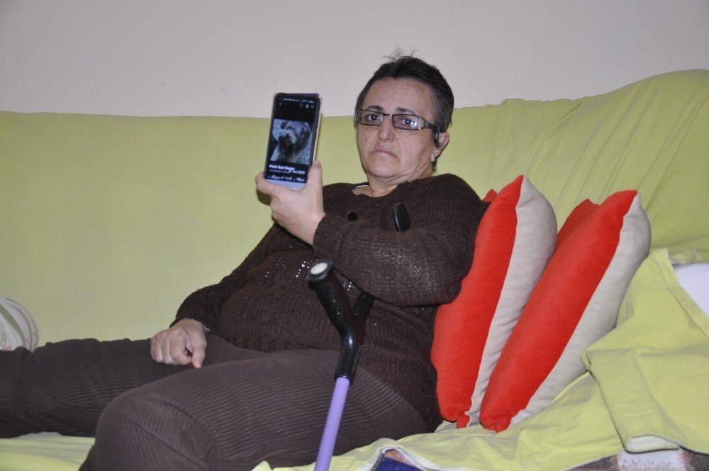 Felçli Kadın, 6 Aydır Özel Eğitimli Köpeğini Arıyor