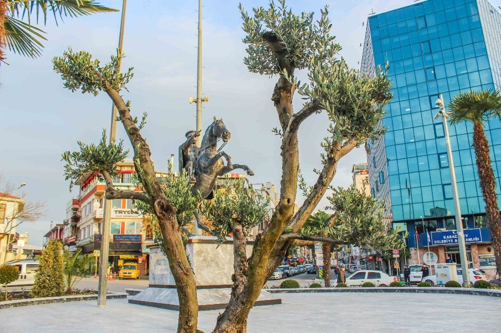 Karacabey Zeytincilikte De İddialı