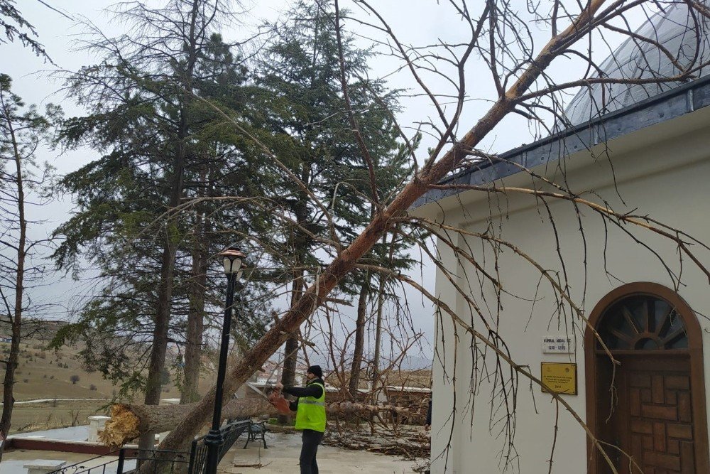 Bozüyük’te Fırtına Hasara Yol Açtı