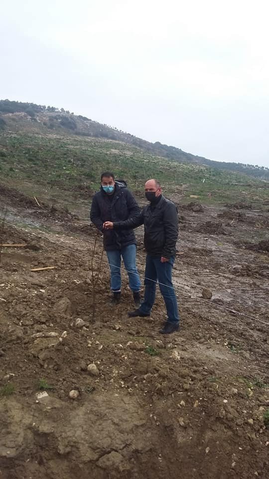 Didim’de Erkenci Kayısı Fidanları Toprakla Buluştu
