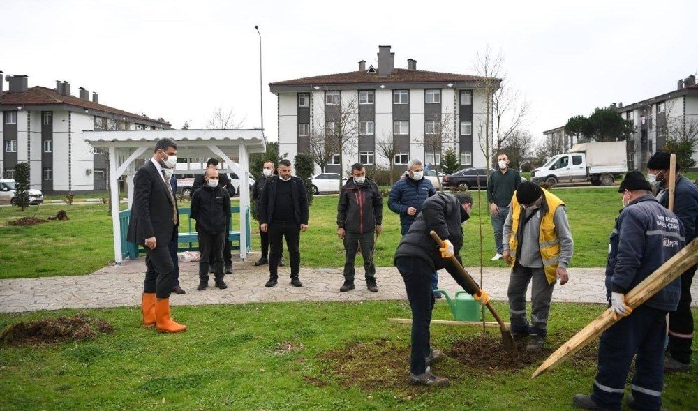 Kartepe’de Her Yıl Bin 100 Fidan Toprakla Buluşacak