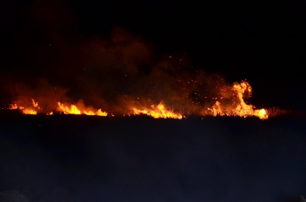 Samsun’da Sazlık Yangını