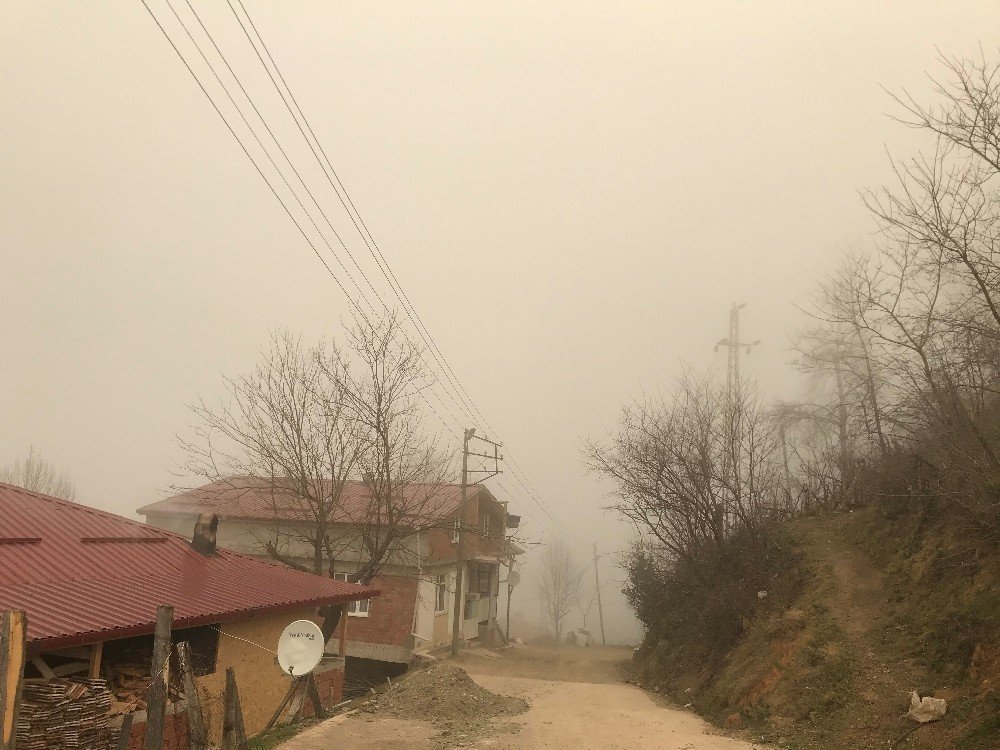 Ordu’dan Sis Manzarası