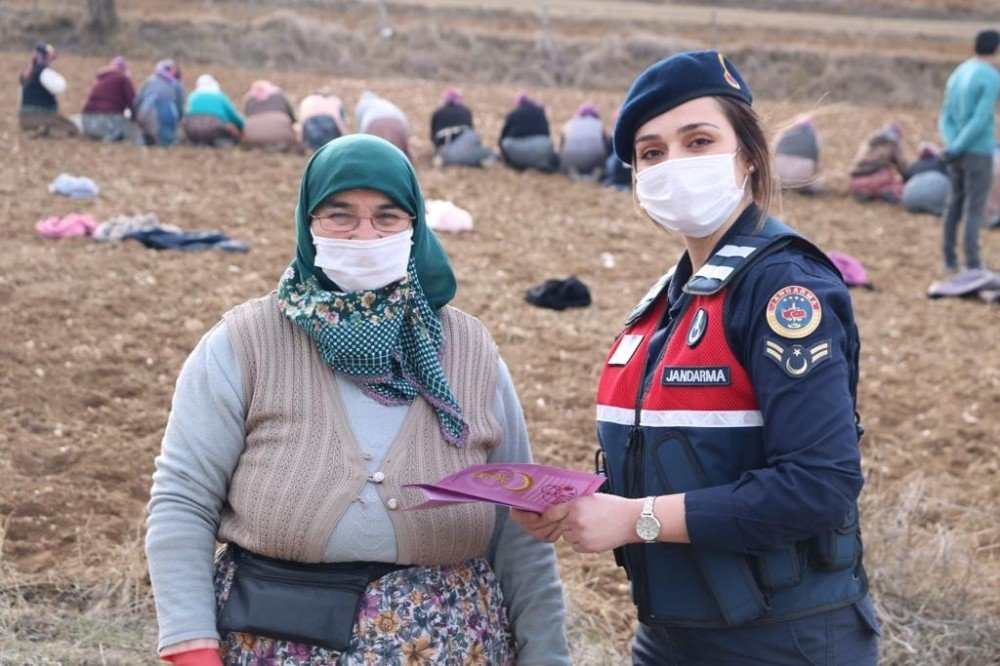 Sarımsak Tarlasında Çalışan Kadınlara Kades’i Anlattılar