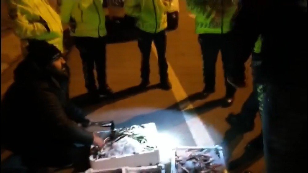 46 Kasa Balığa El Konuldu
