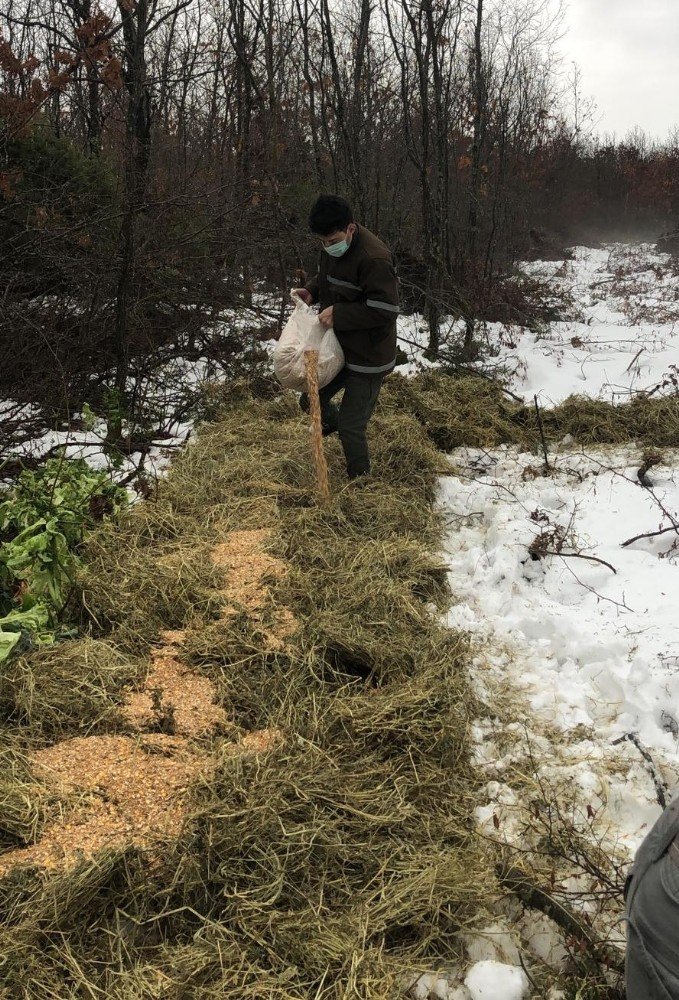 Tekirdağ’da Yaban Hayatına 4 Buçuk Ton Yem Bırakıldı