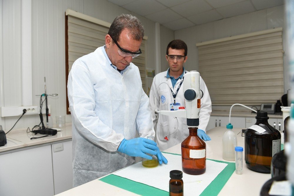 Meski̇’ye ’mükemmel Laboratuvar Sertifikası’