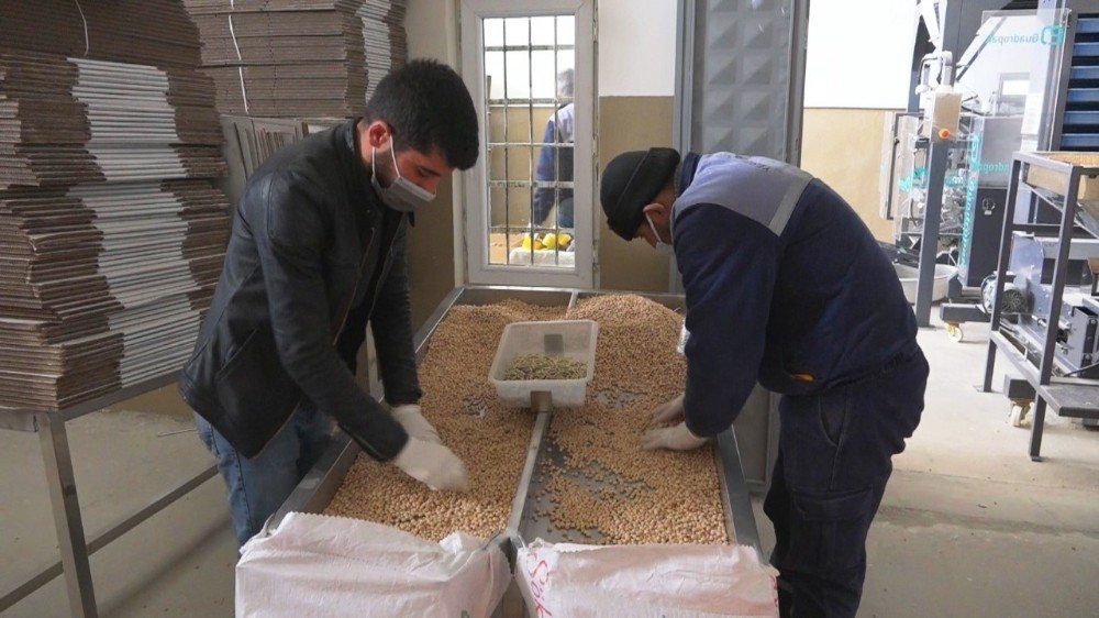 Malatya’da İhtiyaç Sahiplerine 2 Bin Paket Nohut Ve Kuru Fasulye