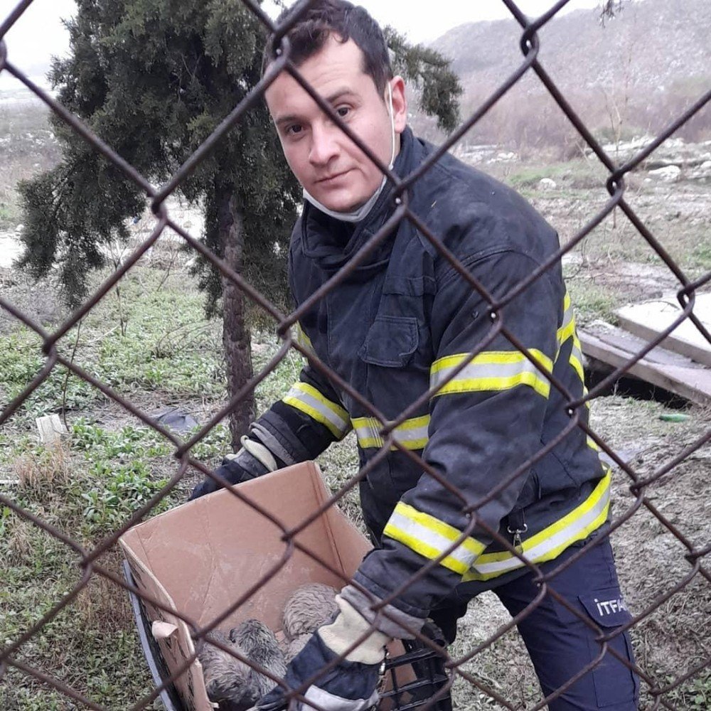 Burdur’da Isınmak İçin Rögara Giren Yavru Köpekler Kurtarıldı