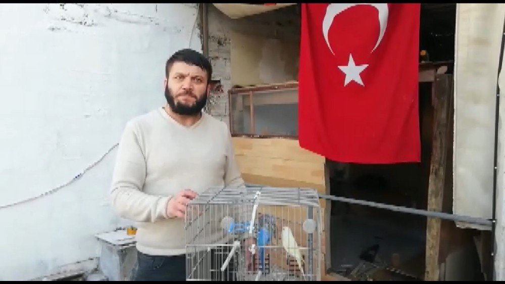 Bursa’da Kafesinden Kaçan Muhabbet Kuşları İçin İtfaiye Seferber Oldu