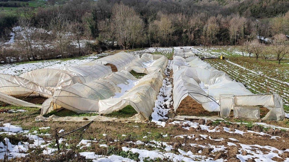 Sera Desteği İçin Başvurular Başladı