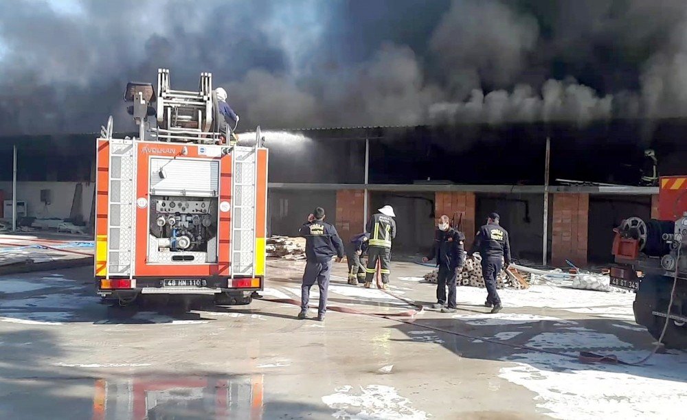 Fidan Üretim Tesisinde Yangın