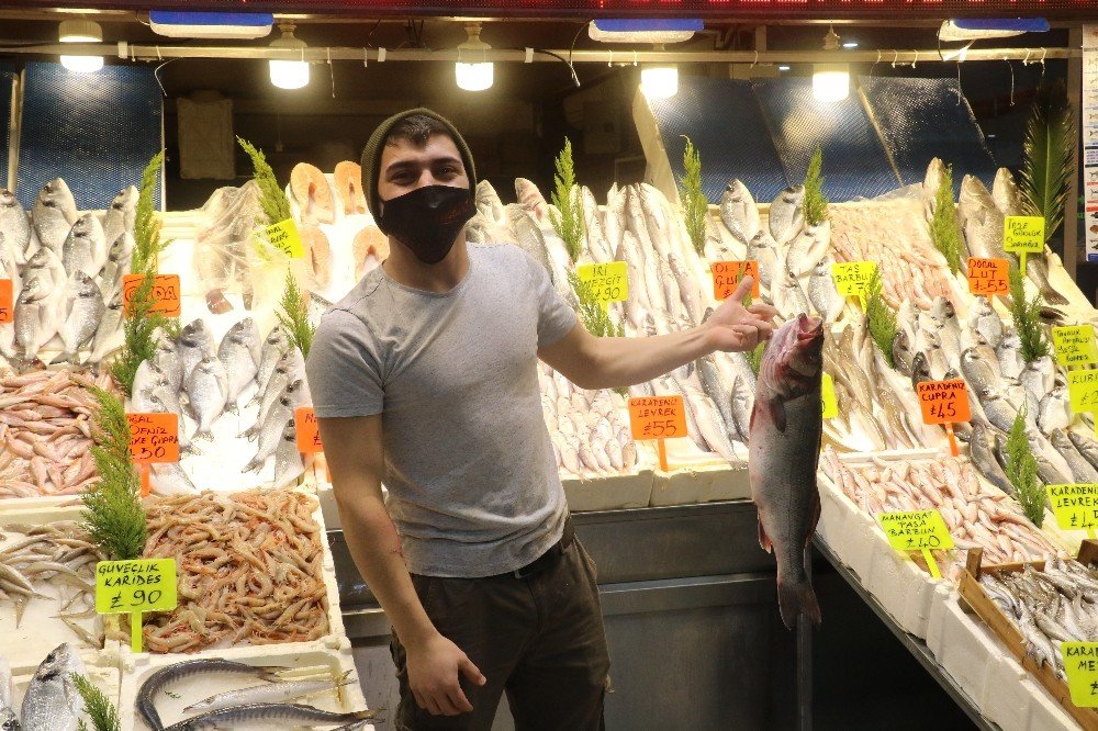 Hamsiye Gelen Av Yasağı Tüm Balıkları Etkiledi
