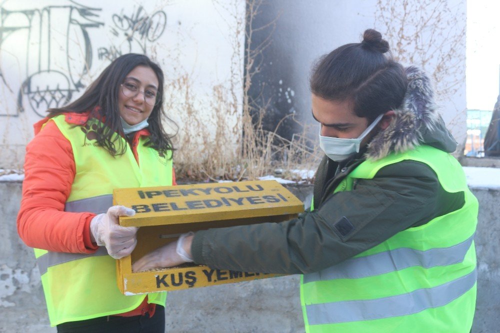Buz Tutan Kentte Kuşlar İçin Sıcak Yuva