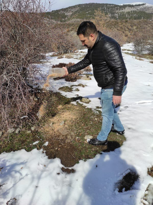 Sokak Hayvanlarını Gençler Besledi