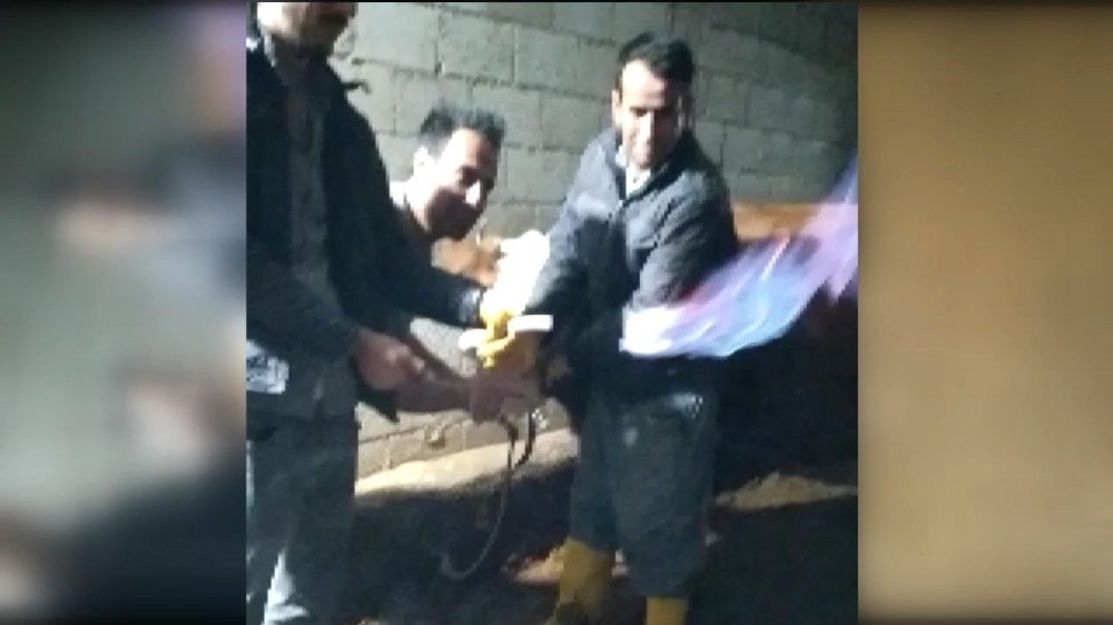 İ̇neğin Midesindeki Metan Gazı Yakıldı, Görüntüsü Şaşırttı