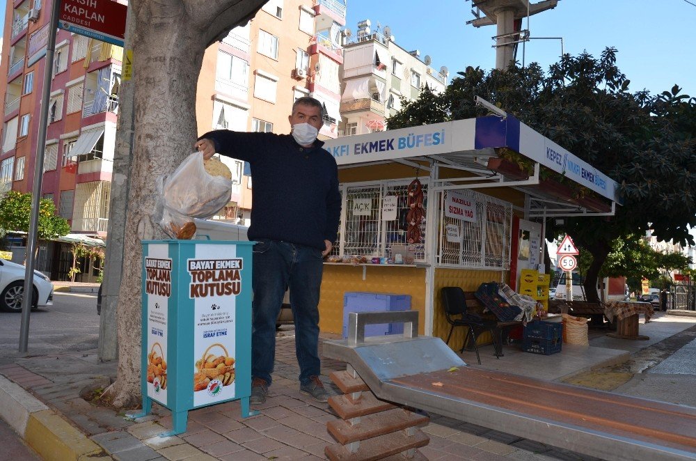 Kepez, Sokak Hayvanlarını Kendi Ürettiği Mamalarla Besliyor