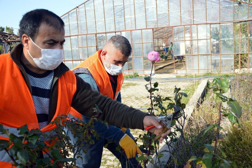 Manavgat Üreterek Tasarruf Ediyor