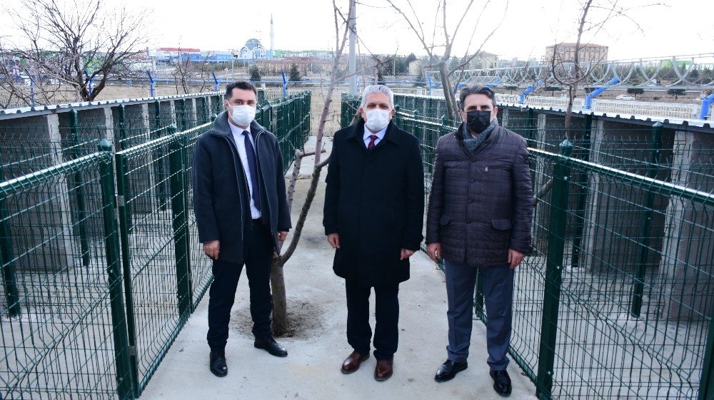 Osb Sınırları İçerisindeki Sokak Hayvanları İçin Rehabilitasyon Merkezi Kuruluyor