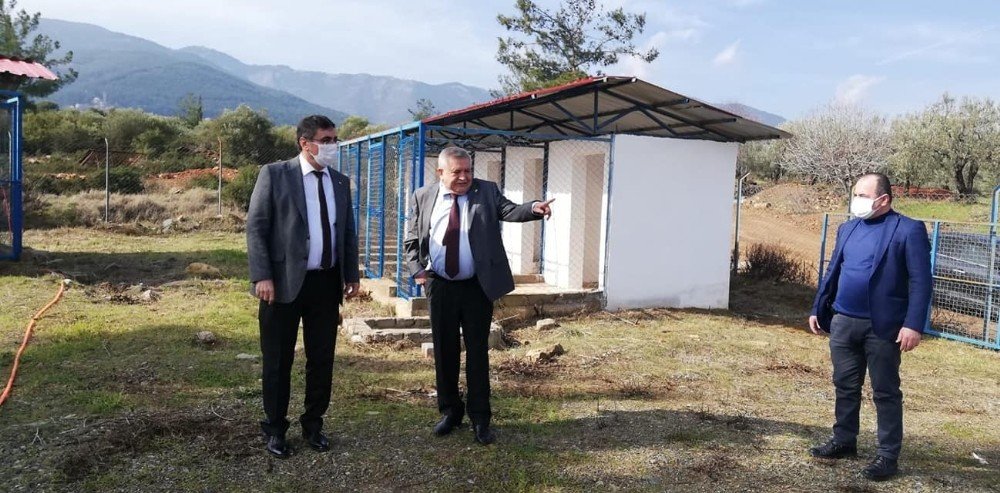 Karacasu Hayvan Barınağı Ay Sonunda Açılacak