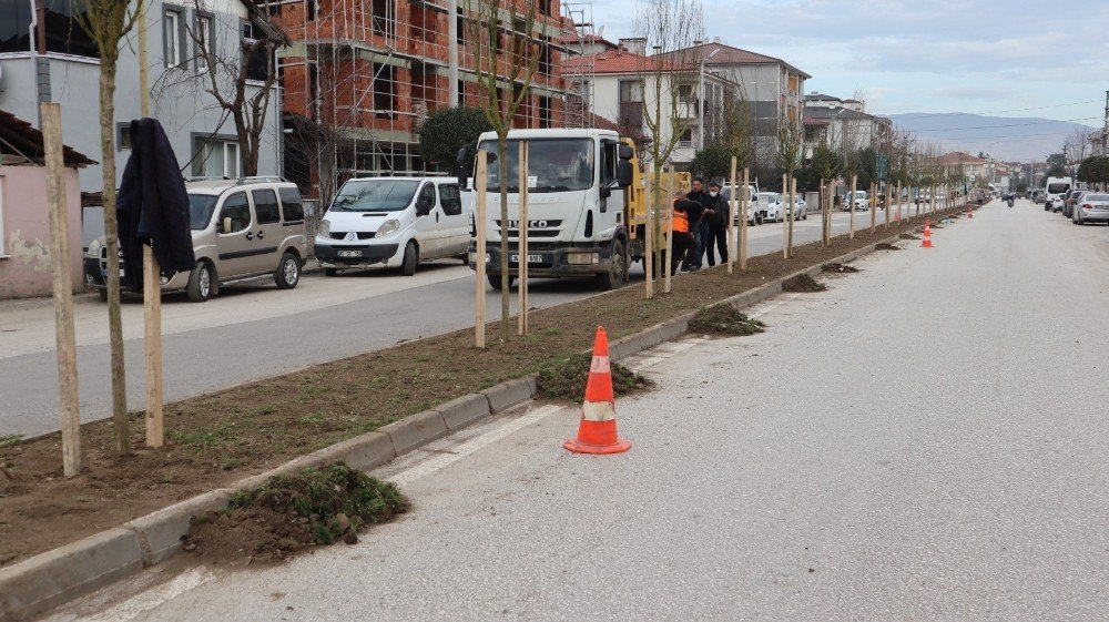 Refüjlerin Görsel Zenginliği Artıyor