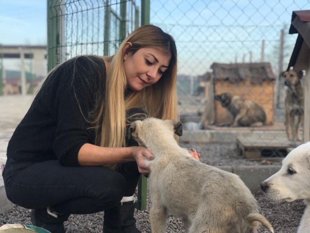 ’can Dostlarının’ Yaşama Tutunmaları İçin Mücadele Ediyor