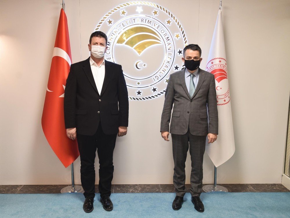 Tarım Ve Orman Bakanlığında Akyazı’ya Kazandırılacak Yatırım Ve Projeler Konuşuldu