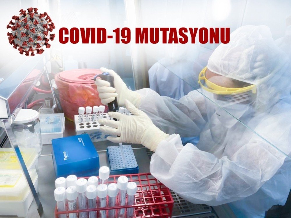 Kktc’de Mutasyonlu Virüs Saptandı