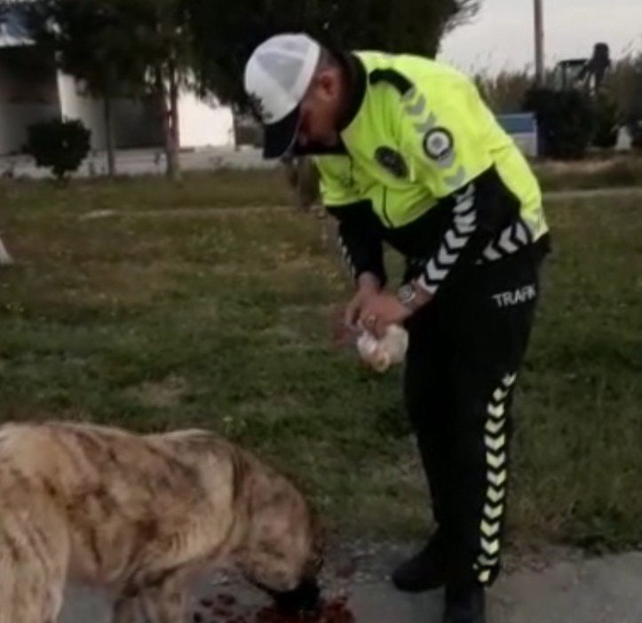 Polisin Hayvan Sevgisi