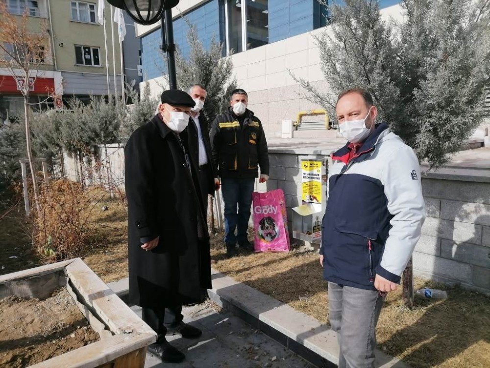Sokak Hayvanları İçin Besleme İstasyonları Kuruluyor