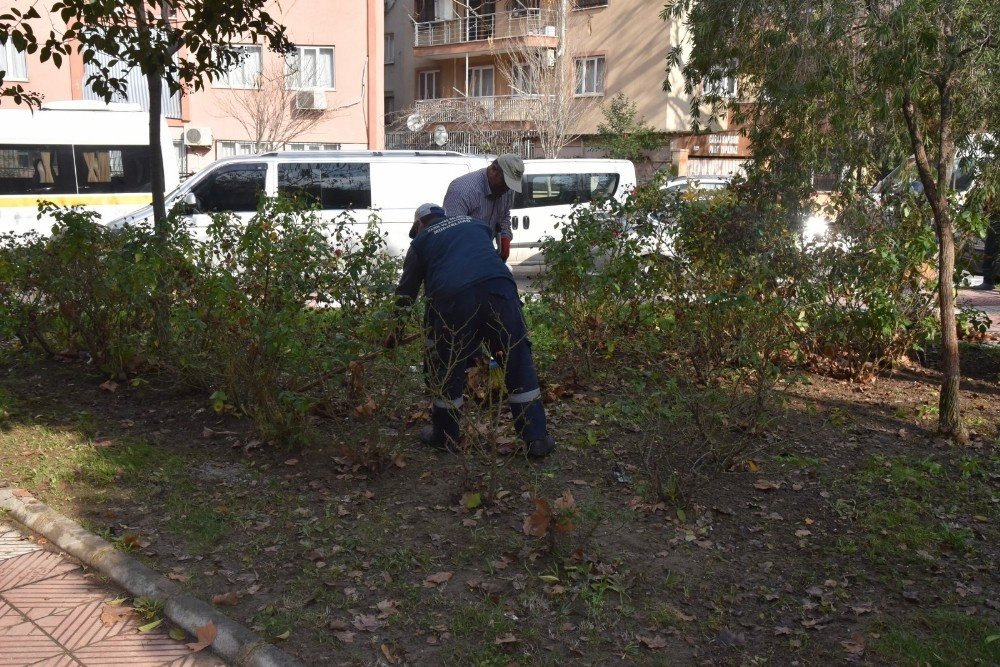 Yunusemre’de Parkların Bakımı Yapılıyor