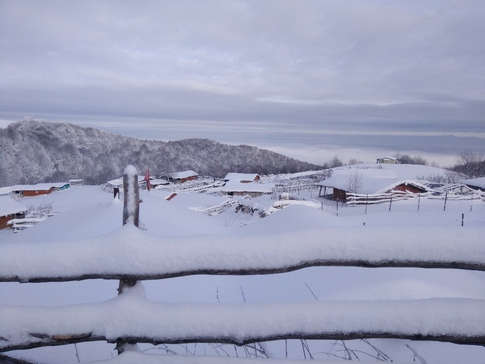 Yaylalarda Kar, Şehirde Bahar