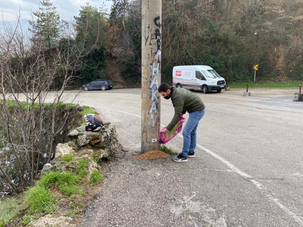 Gençler, Sokak Hayvanlarını Unutmadı