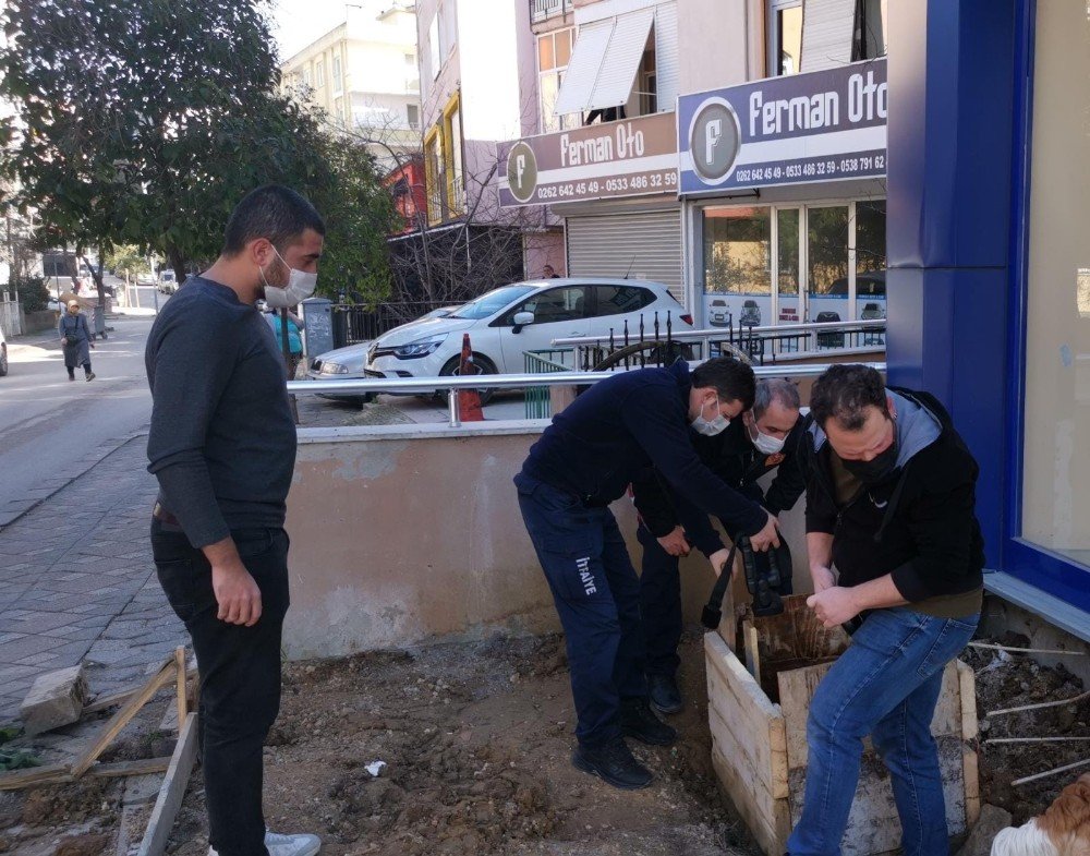 Kuyuya Düşen Kedinin Yardımına İtfaiye Ekipleri Koştu